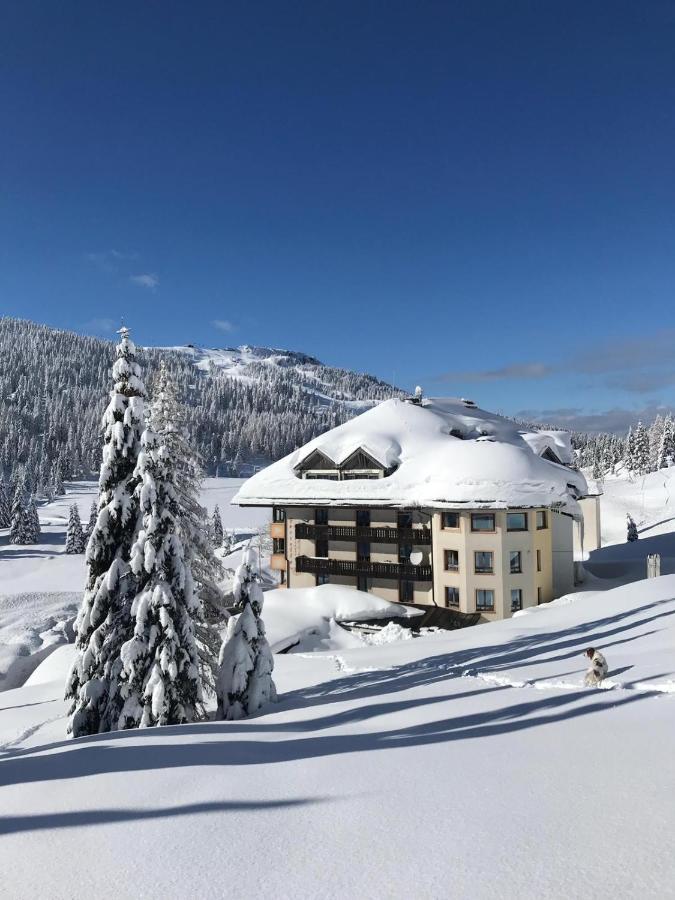 Biker Hotel Al Gallo Forcello Passo Pramollo Exterior photo