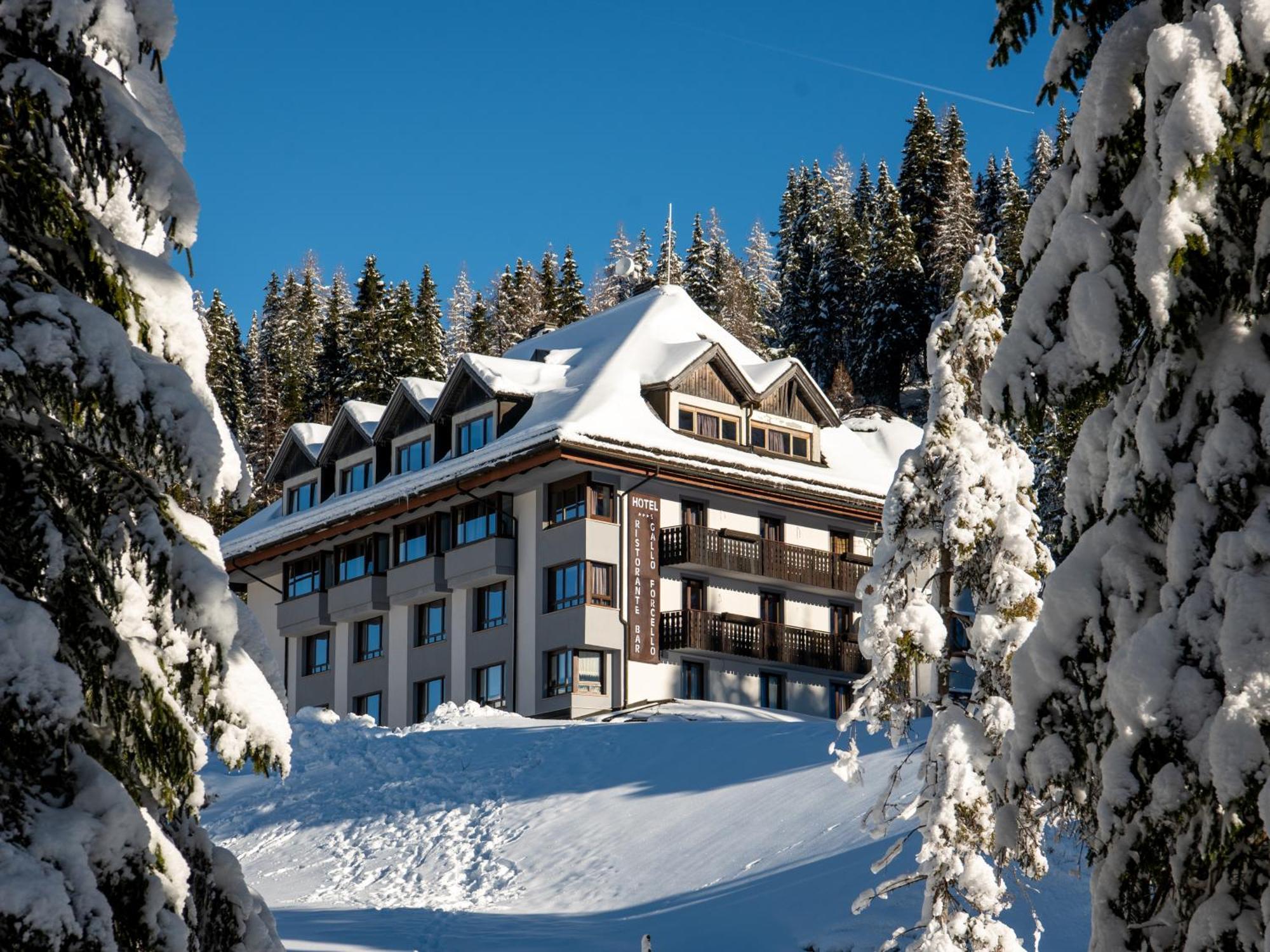 Biker Hotel Al Gallo Forcello Passo Pramollo Exterior photo