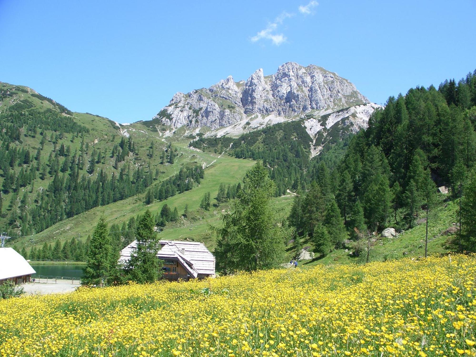 Biker Hotel Al Gallo Forcello Passo Pramollo Exterior photo