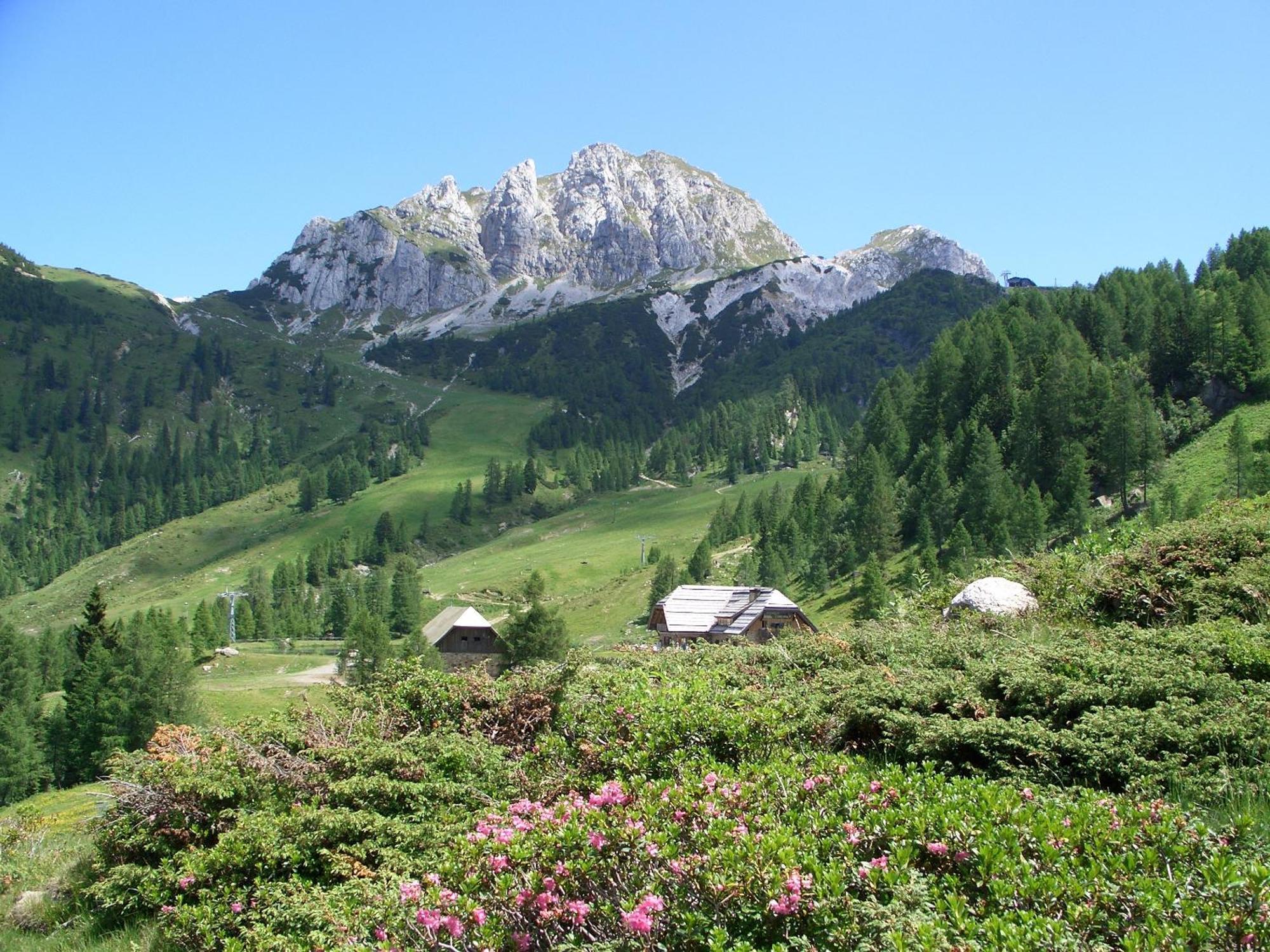 Biker Hotel Al Gallo Forcello Passo Pramollo Exterior photo